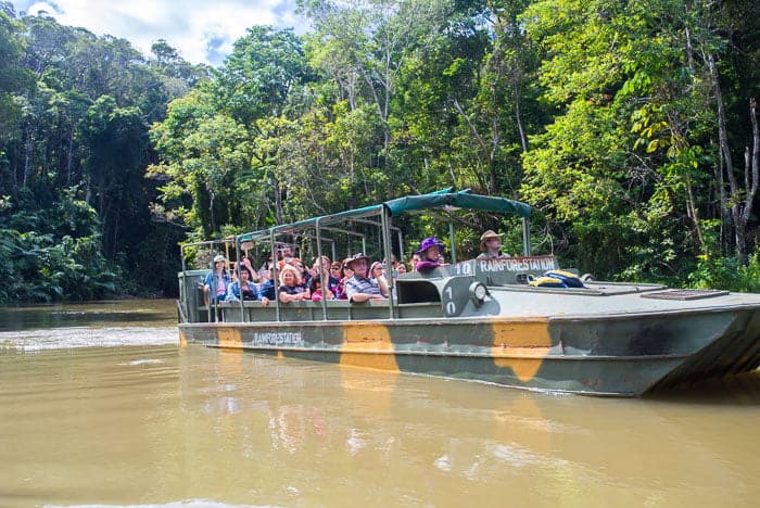 Kuranda rainforestation