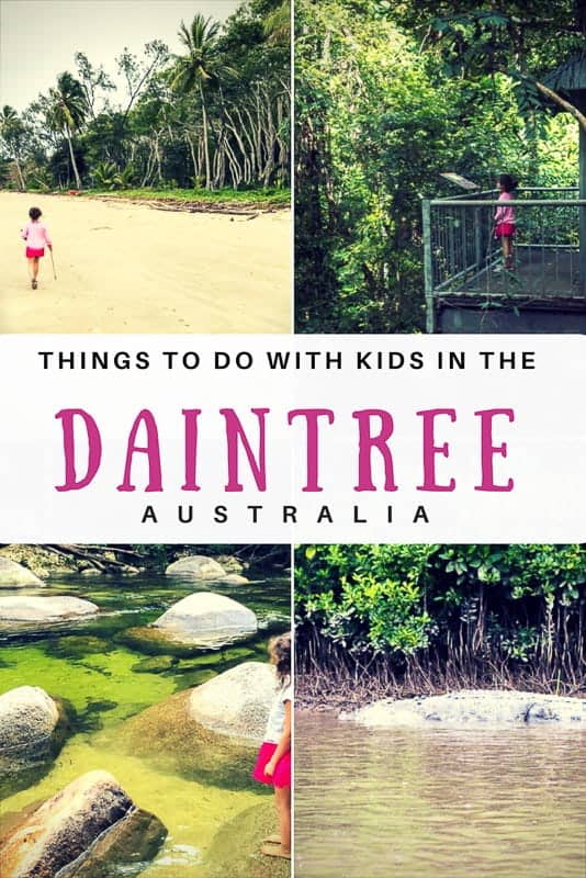 Daintree Rainforest Tours