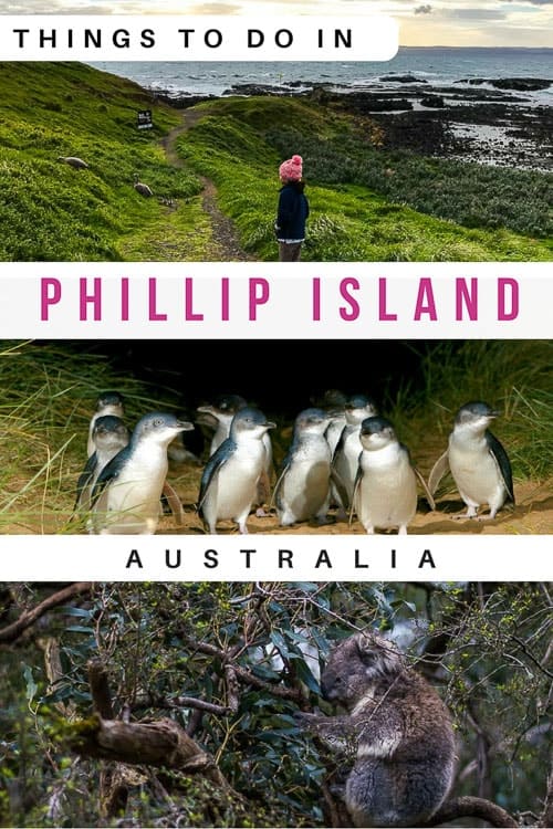Phillip Island Attractions