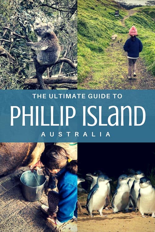 Phillip Island Attractions