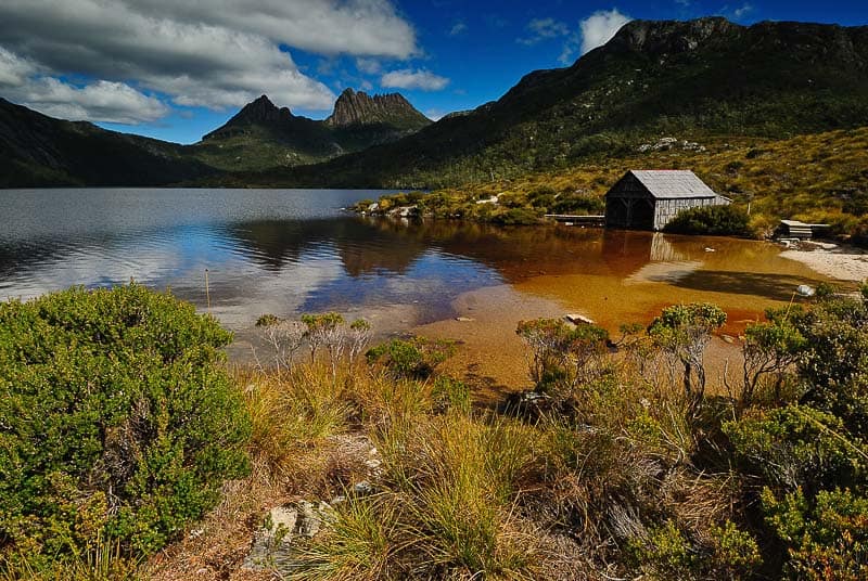 Best things to do in Tasmania with kids