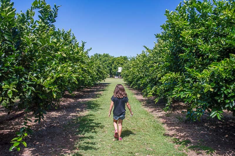 What to do in Bundaberg - Bundy Food Tours