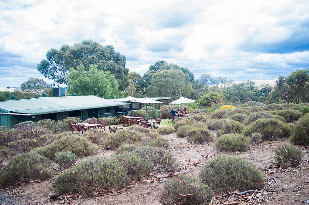 Barossa Valley attractions