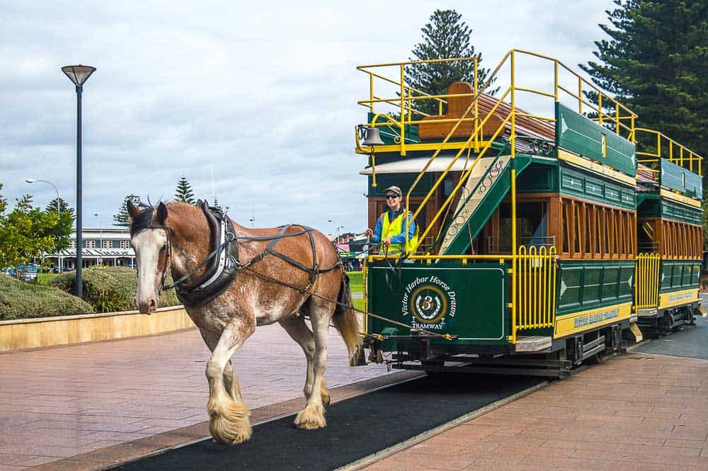 Victor Harbor Horse Drawn Tram