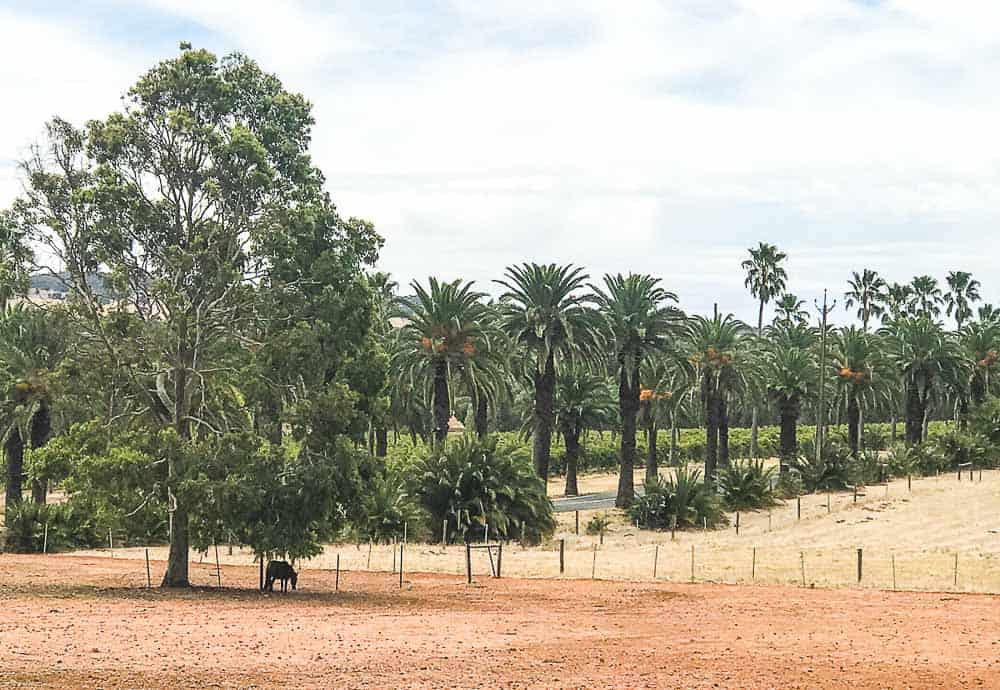 Barossa accommodation