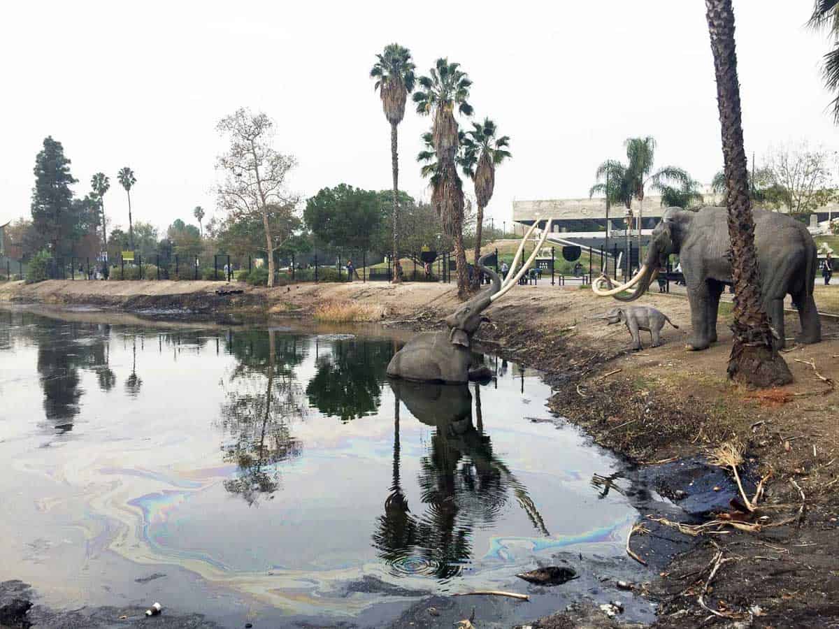 La Brea Tar Pit - Fun things to do in LA with kids