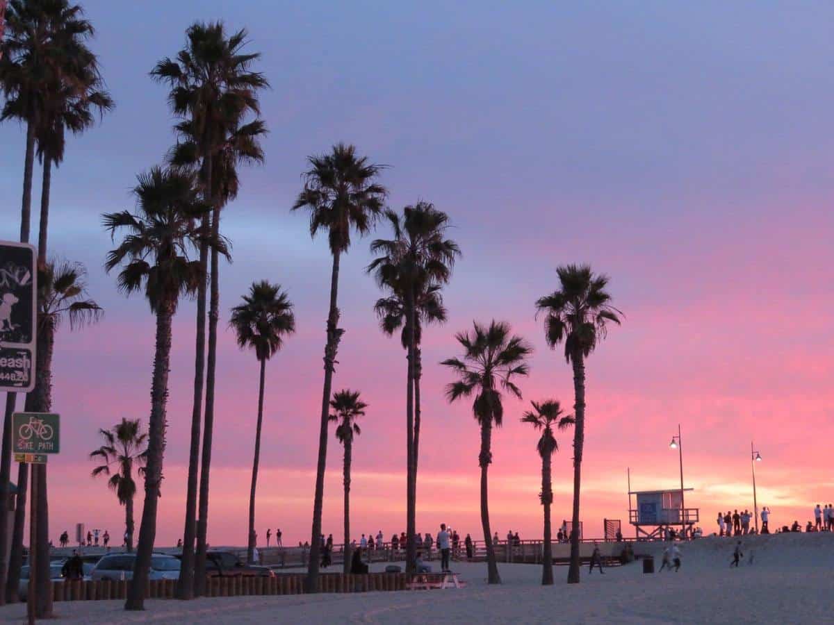Venice Beach - LA Tourist Spots