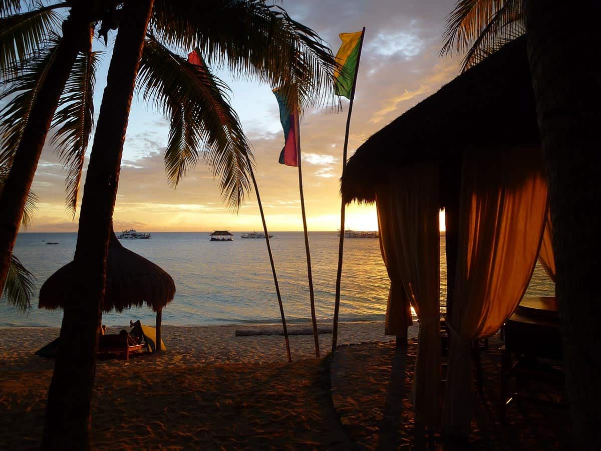 coco-grove - Siquijor - The Philippines