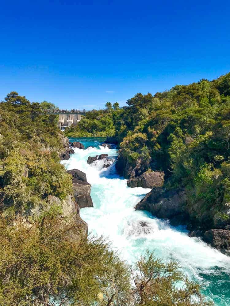 Things to do in Taupo with kids