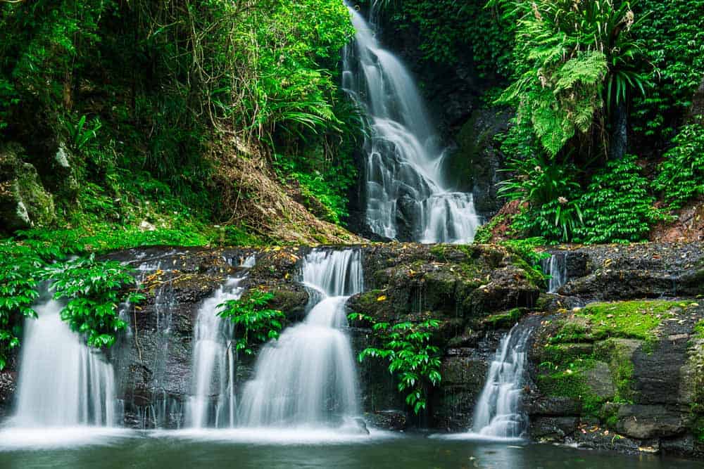 Lamington National Park