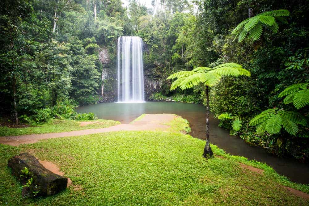 Atherton Tablelands Waterfalls