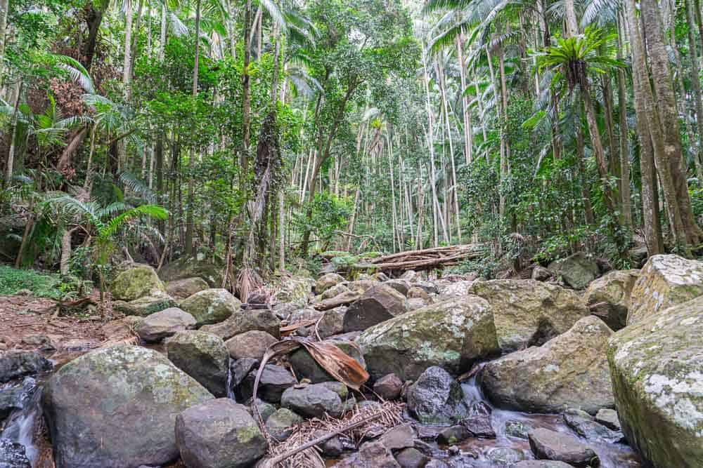 Mount Tamborine