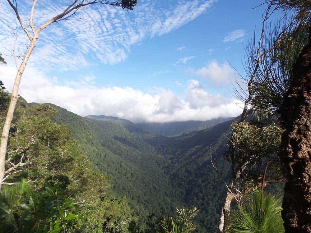 inland day trips from brisbane