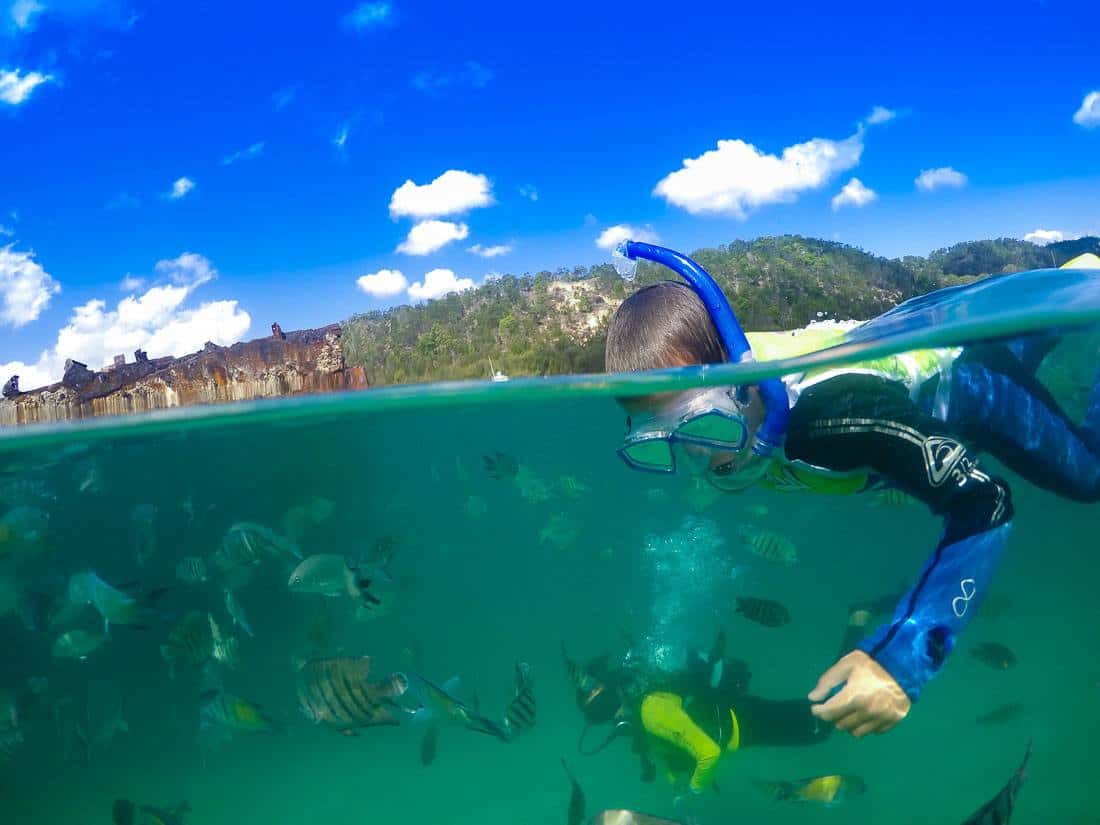 Tangalooma Wrecks Snorkeling Tour