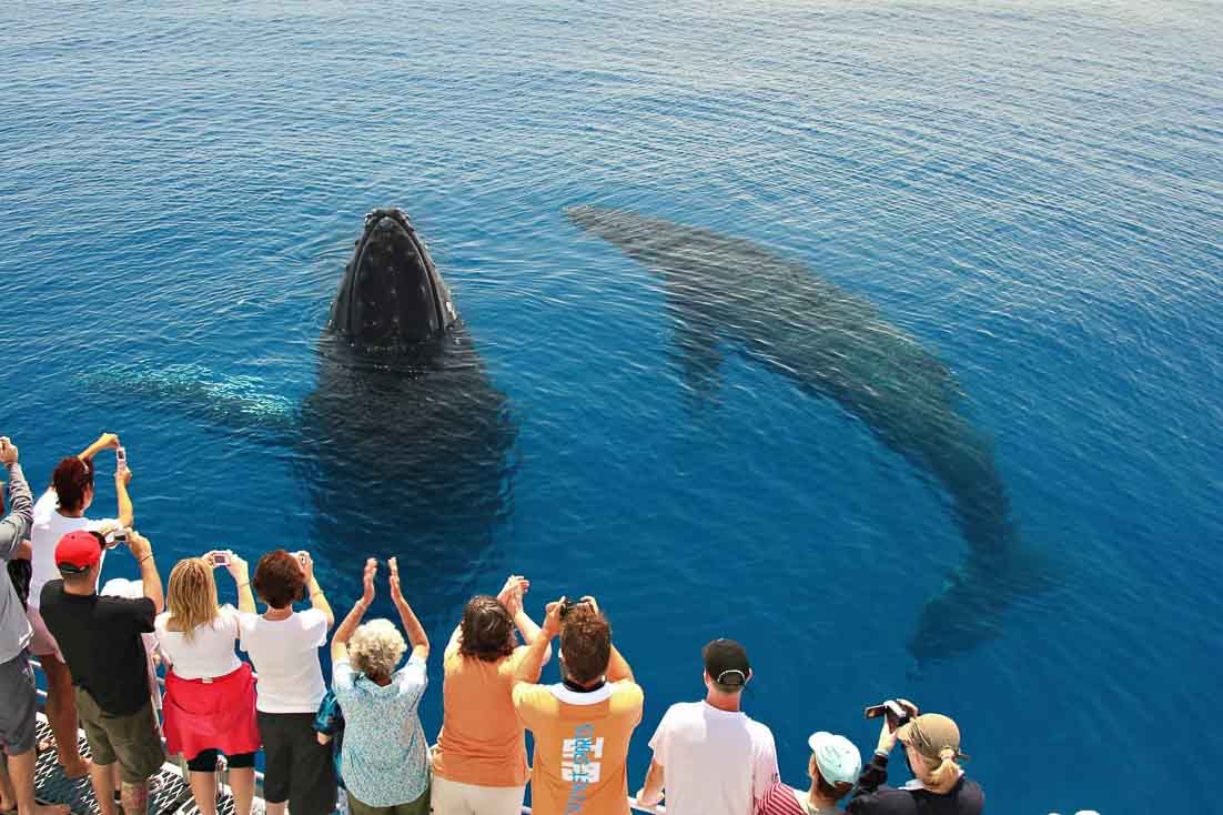 tourist in queensland