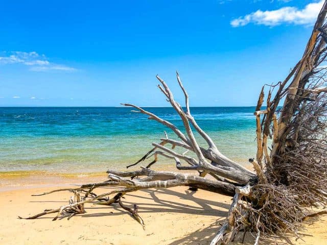 Camping at Amity Point - Stradbroke Island