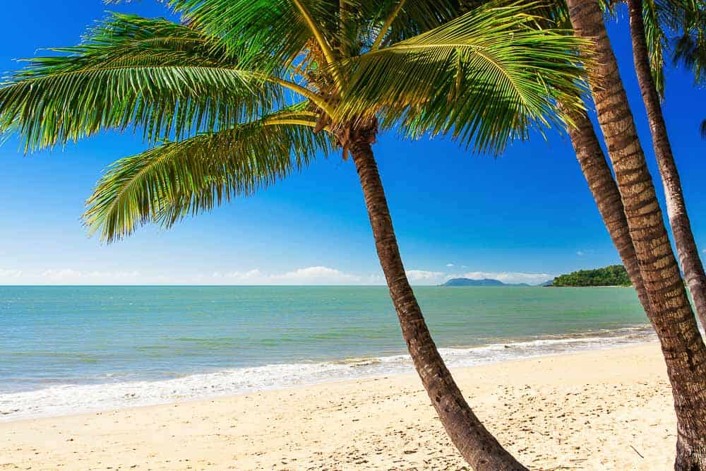 Palm Cove - Best Beaches in Cairns