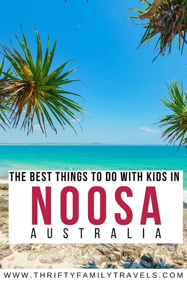 Best things to do in Noosa with Kids