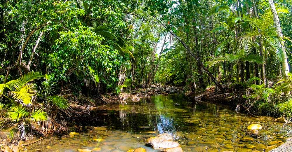 Fun things to do in Mackay with kids - Finch Hatton Gorge