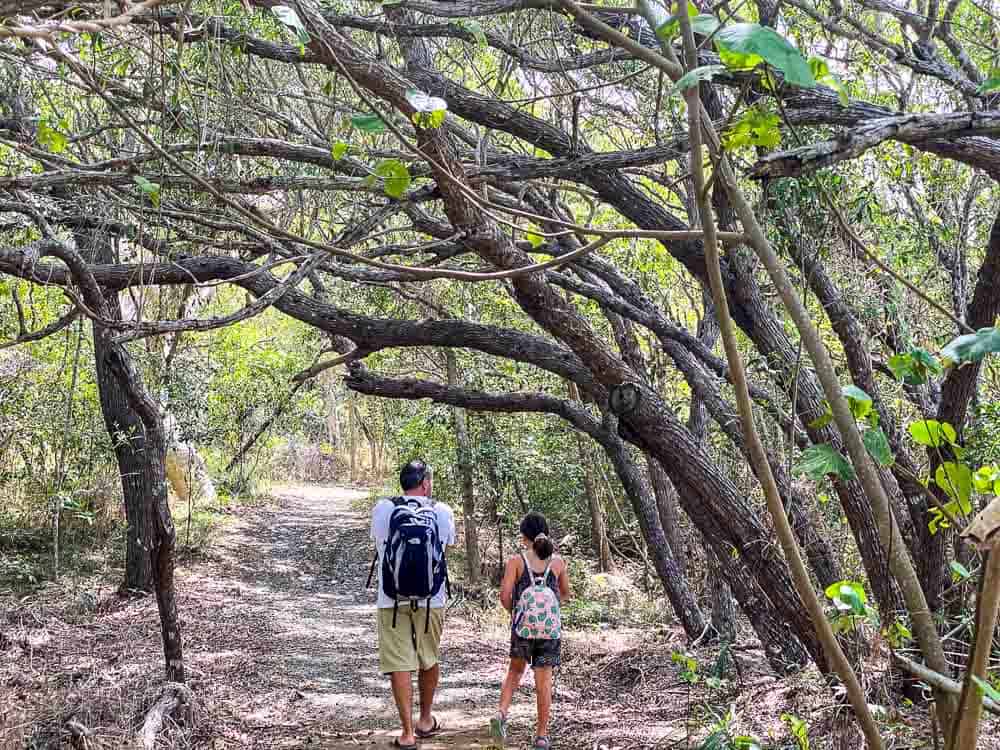 Things to do in with kids in Mackay