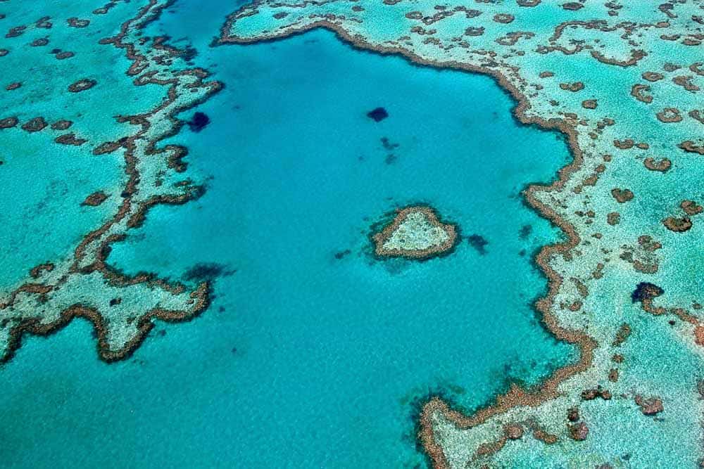 Great Barrier Reef Tours from Airlie Beach