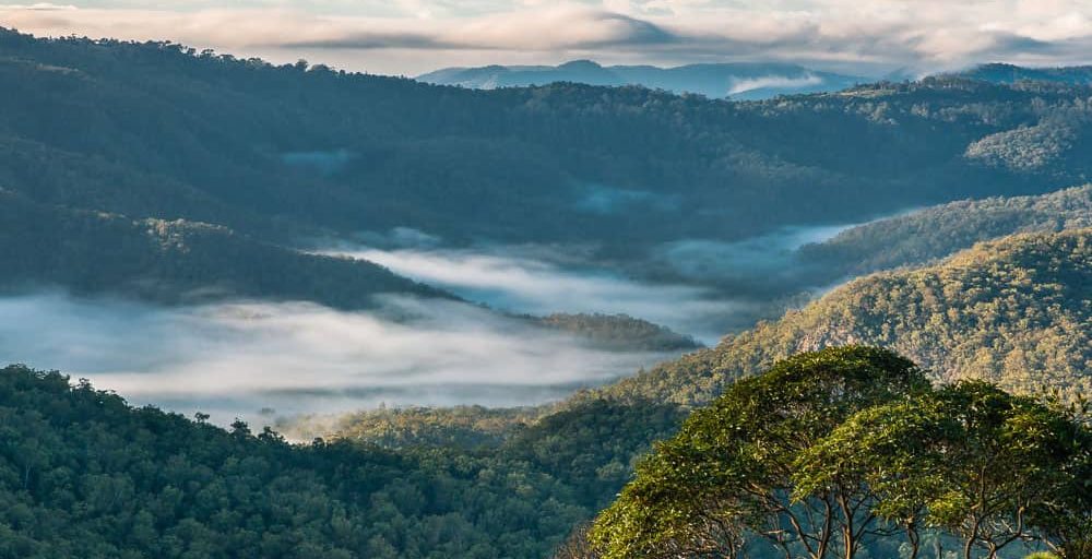 Mt Tamborine Lookout