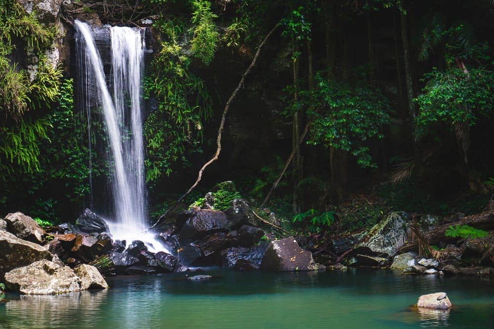 Curtis Falls Mt Tamborine