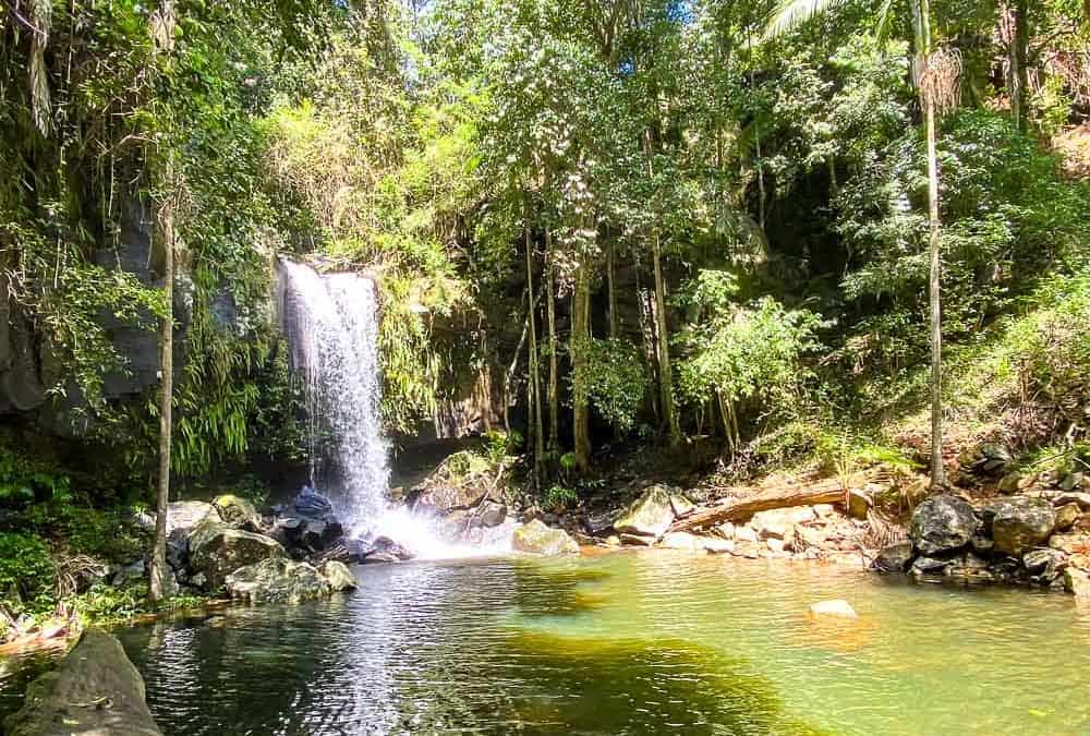 The Best Mt Tamborine Accommodation for Families