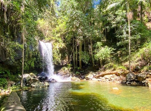 18 Of The Very Best Things To Do In Mount Tamborine With Kids - Thrifty ...