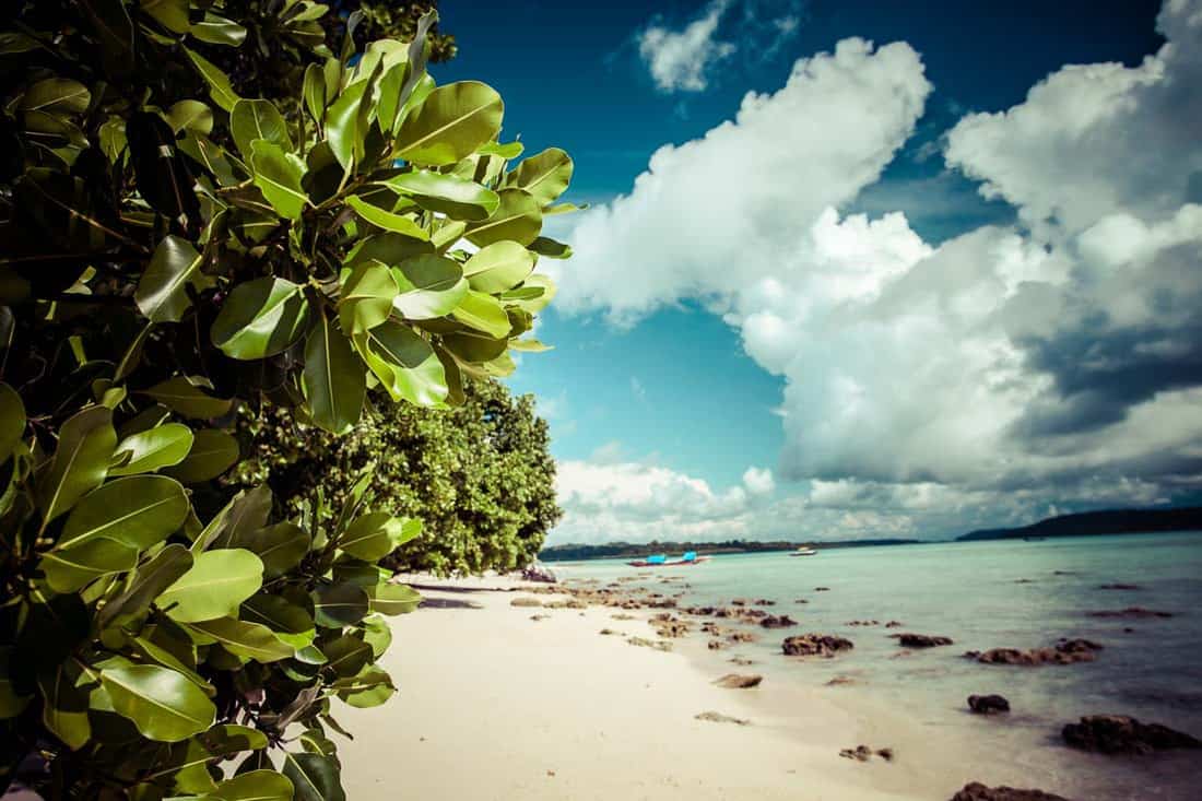 Havelock Island blue sky with white clouds, Andaman Islands, Ind