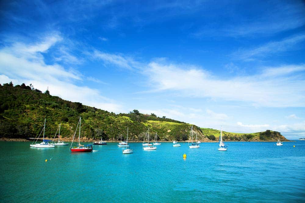 Half moon bay in Waiheke island - Best family holidays NZ