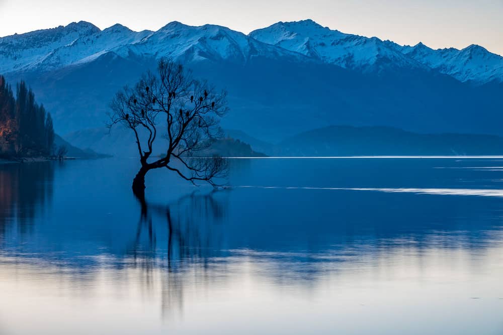 family trip nz