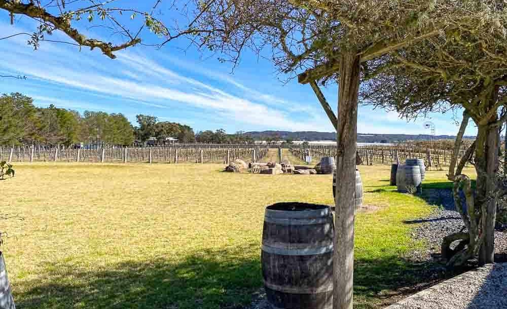 places to visit in stanthorpe qld