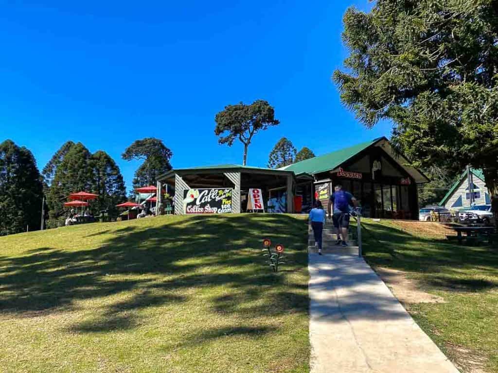 Best Things to do at Bunya Mountains - Thrifty Family Travels