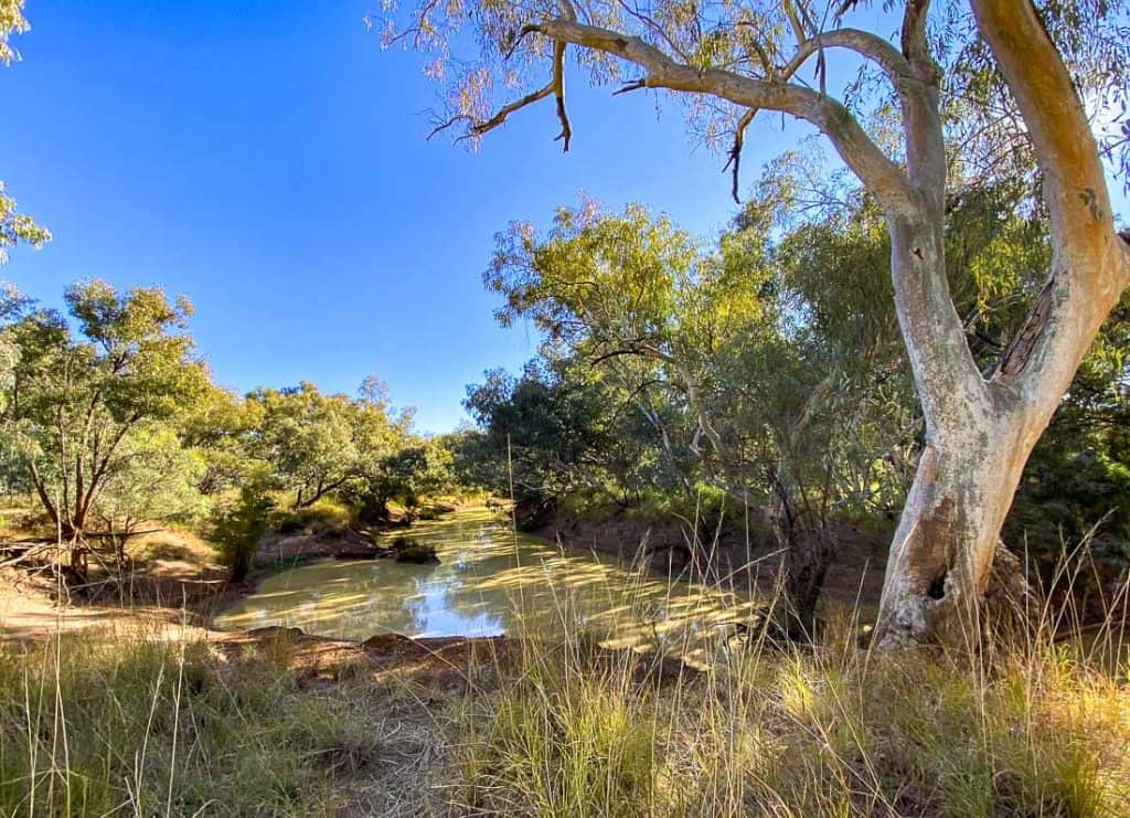 Best Things to do in Quilpie, Queensland - Thrifty Family Travels