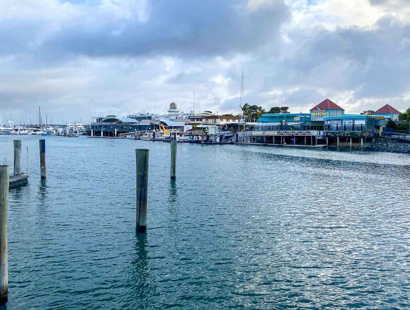 Best Things to do in Hervey Bay with Kids Thrifty Family Travels