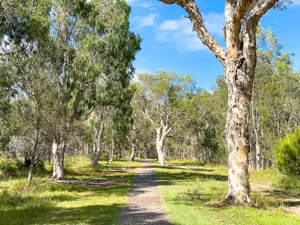 Things to do in Tin Can Bay Beach Wildflower Walk