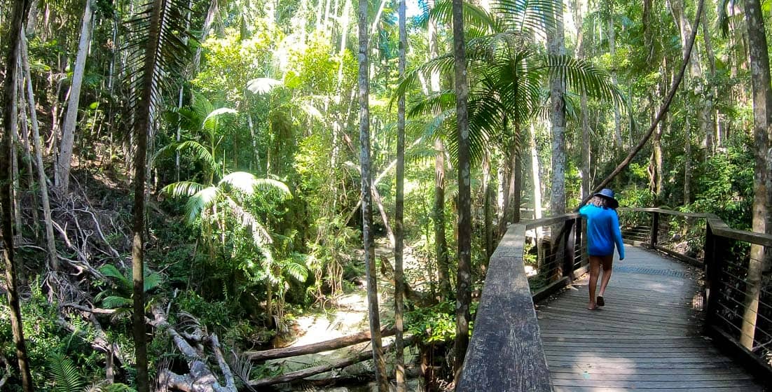 fraser island tour mit kindern