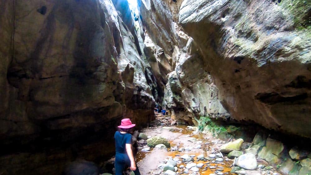 Carnarvon Gorge with Kids