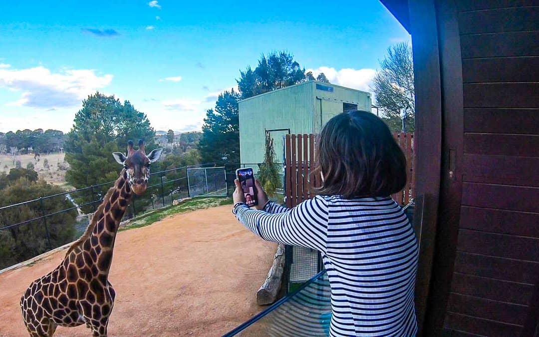 Jamala Wildlife Lodge Review