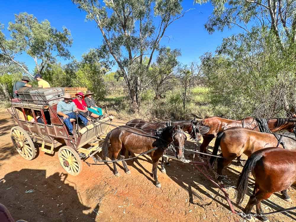 dinosaur trek qld