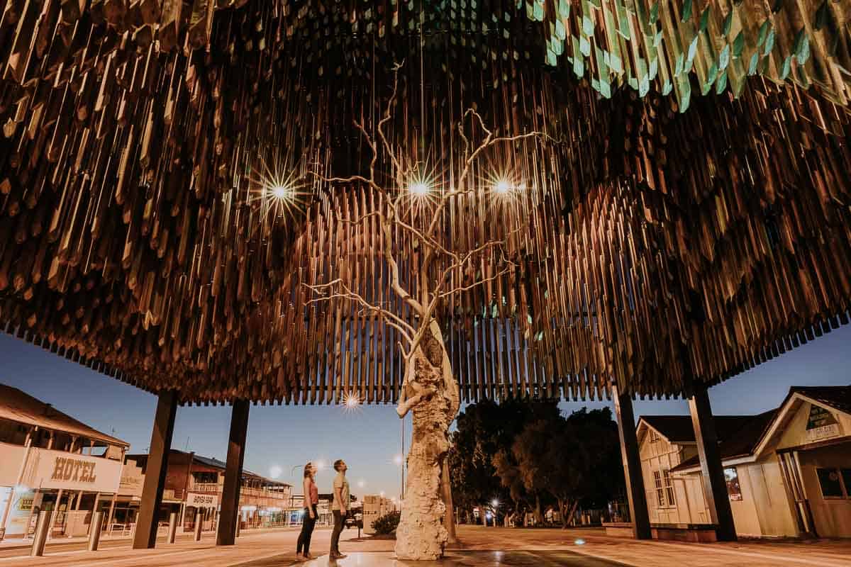 Tree of Knowledge - Barcaldine