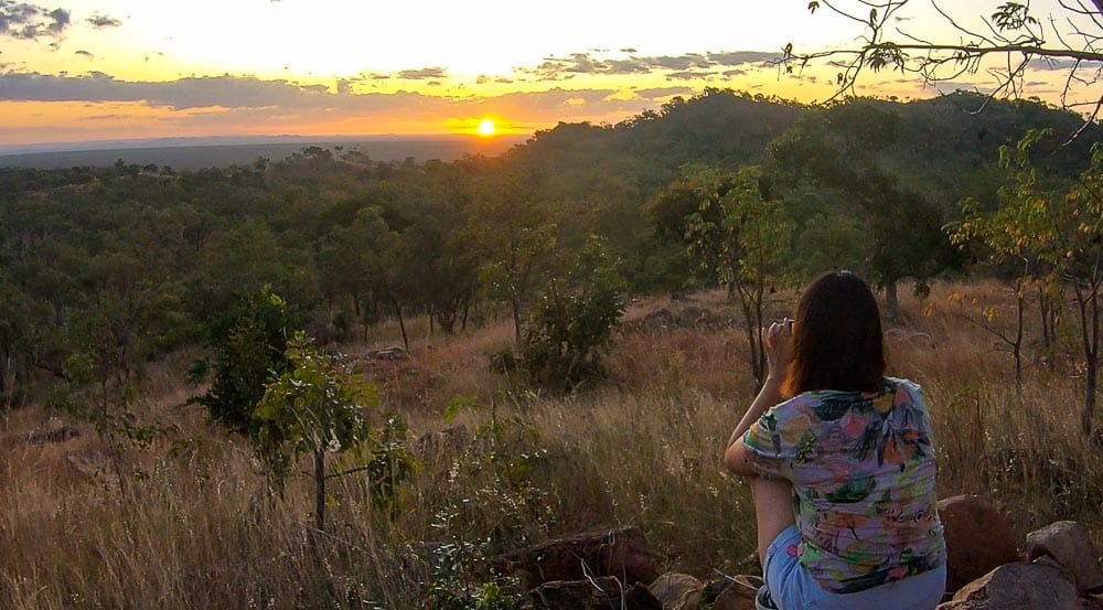 dinosaur trek qld