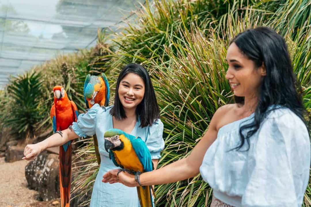 40 Super Awesome and Fun Things to do on the Sunshine Coast with Kids